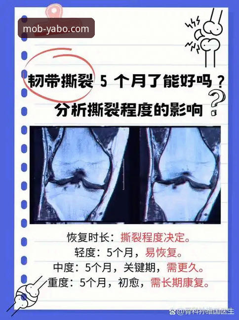 瑞典中场韧带断裂后如何3个月重返世界杯？贝里瓦尔手术细节全揭秘